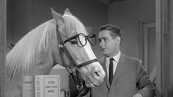 mister_ed.jpg