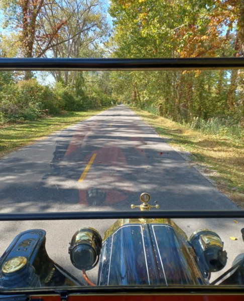 A road between large pond/swamp areas. Almost a tunnel of trees.