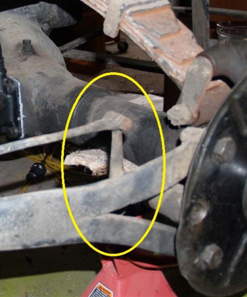 Rear Axle Views Oct 08 (2) (Large).JPG