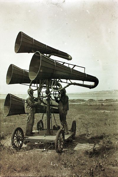 KDhorns.jpg