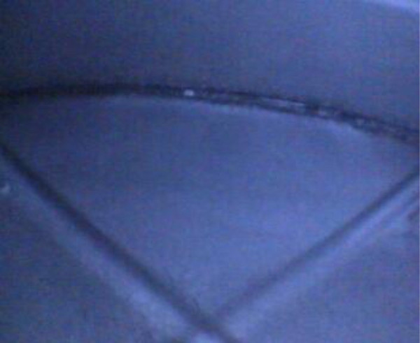 ‘24 Touring gas tank after POR15