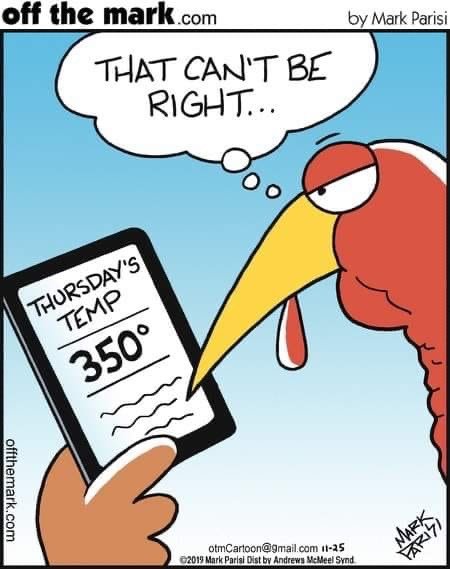 360 turkey.jpeg