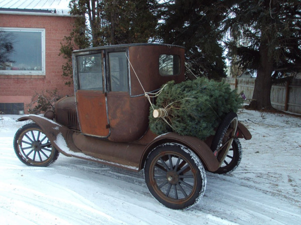 Tree22.jpg