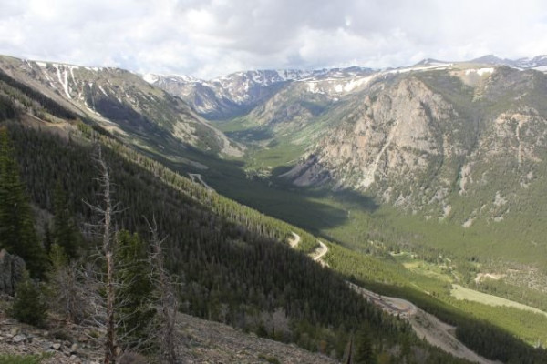 Ber Tooth Pass C s.jpg