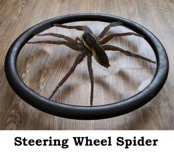 Spider.jpg