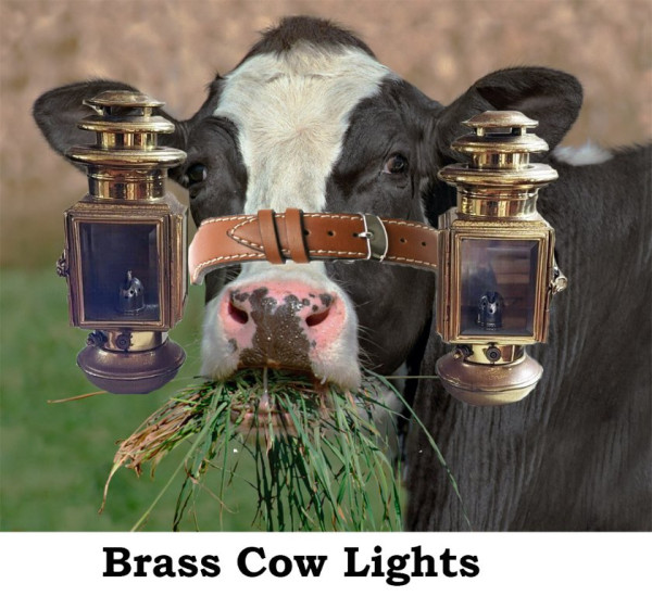 CowLite.jpg