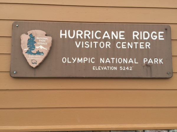 Huricane Ridge.JPG