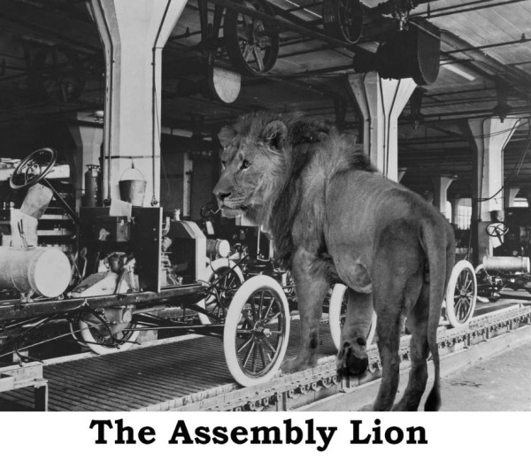 Lion.jpg