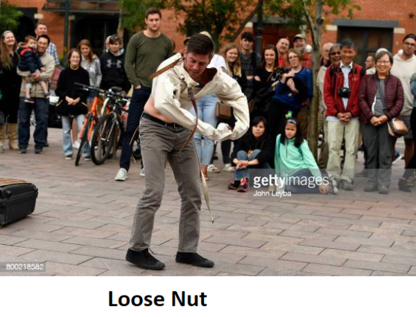 nuts 2.png