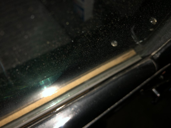 IMG-4645.jpg