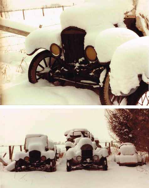 Snoww.jpg