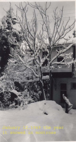 snow 1.jpg