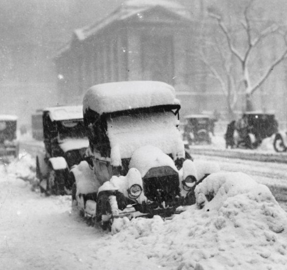 snow covered T.jpg