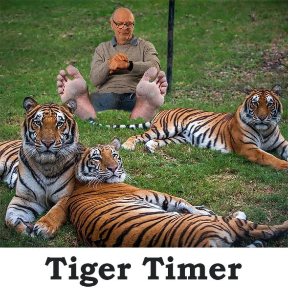 Timer.jpg