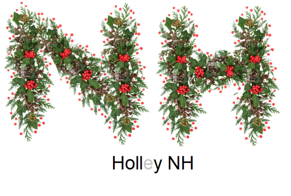 holly1.png