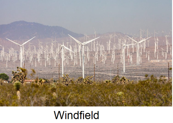 windf.png