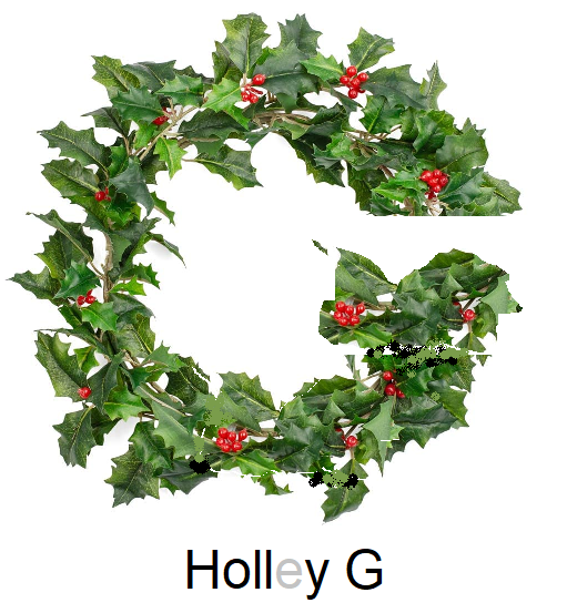 hollyg.png