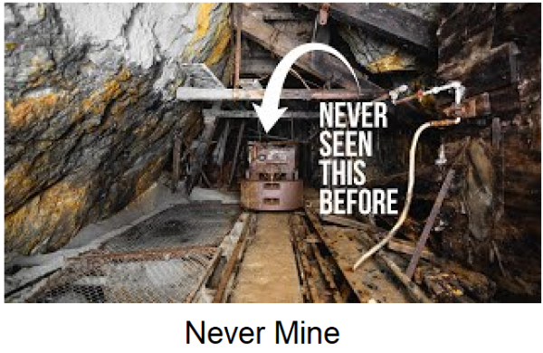 Never Mine.png