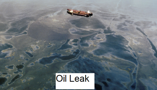 olk.png