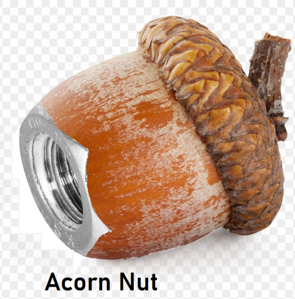 acnut.png
