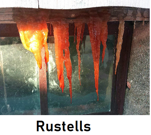 rustls.png