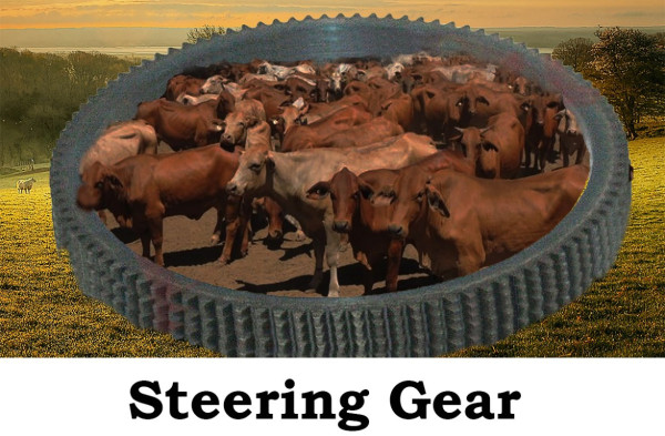 Steering.jpg