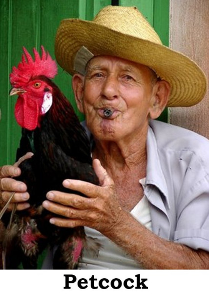 Petcock.jpg