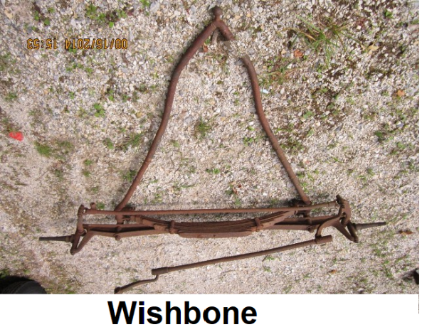 bone.png