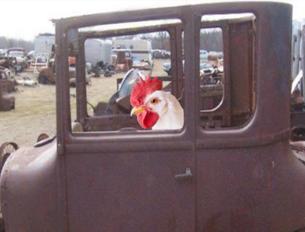 Chicken Coupe.jpg