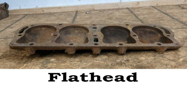 Flathead.jpg