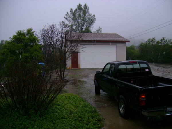 winter 2010 001.jpg