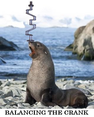 Seal.jpg