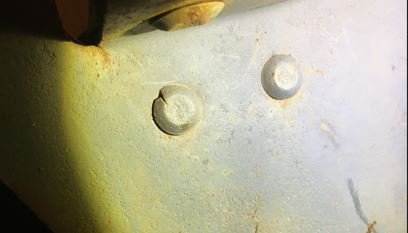 Photo-1.JPG