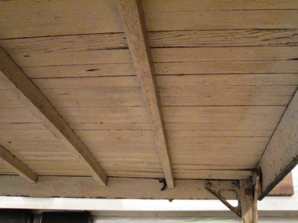 canopy wood 1.JPG