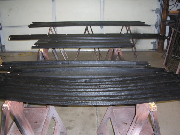P1010089 (1).JPG