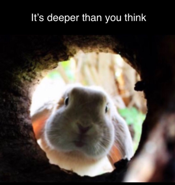 12EE6D76-87B2-4083-AF90-B4983E310370.jpeg