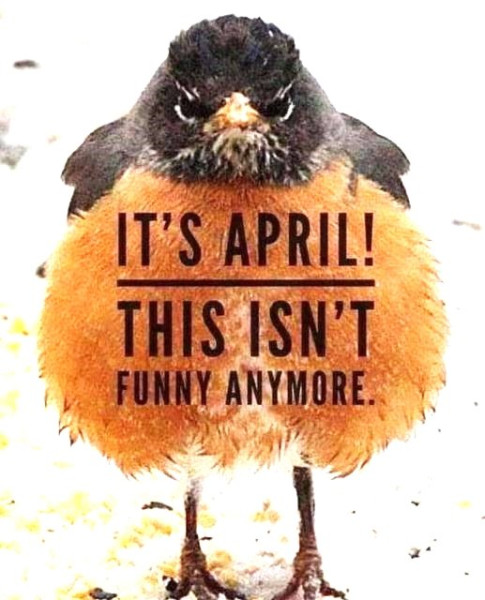 It's April.1.jpg
