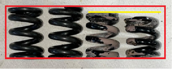 rad springs.png