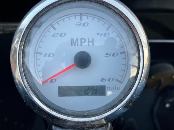 Speedo.jpg