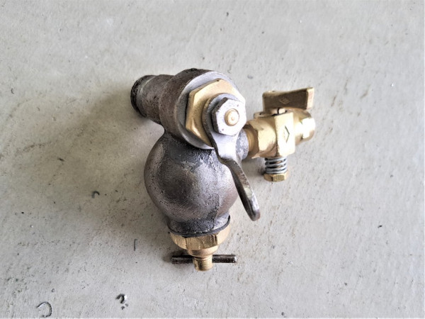 Sed Bulb.jpg