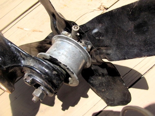 IMG_3820 (500x375).jpg