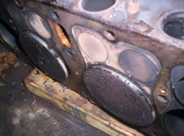 000_1043.JPG