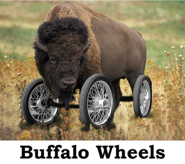 Buffalo.jpg