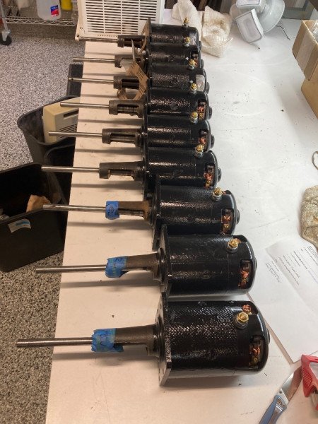 row of starters.jpeg