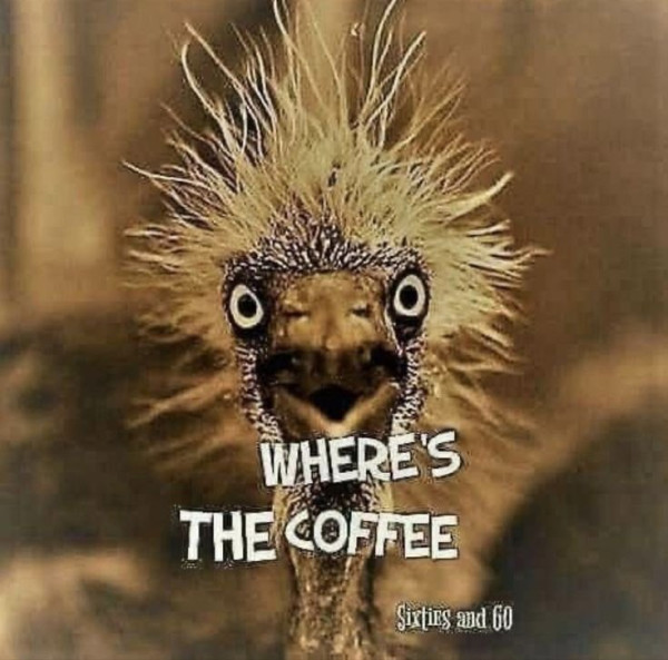 cofe.jpg