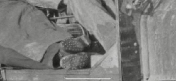 42AD06DF-F732-457E-A232-1FA64B89382E.jpeg