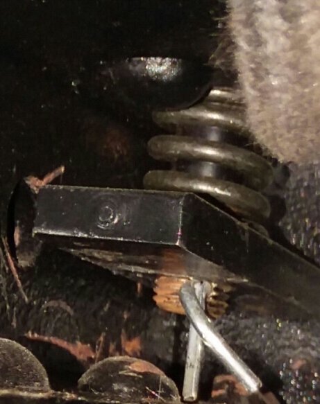 20230612_141724.jpg