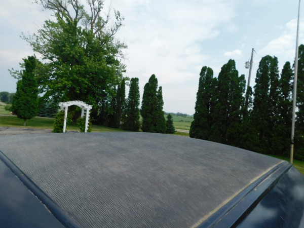 DSCN0699.JPG
