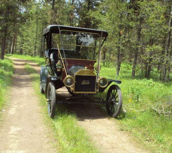 yel23_380.jpg