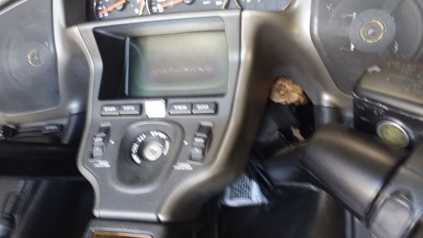 20230702_100049.jpg